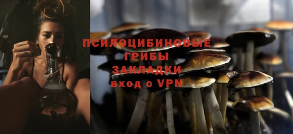 эйфоретик Сосновка