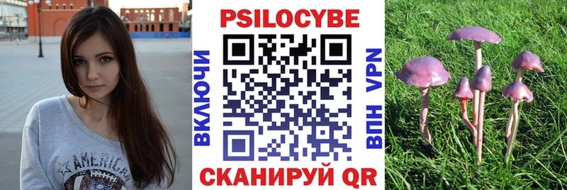 Галлюциногенные грибы MAGIC MUSHROOMS  Вышний Волочёк 